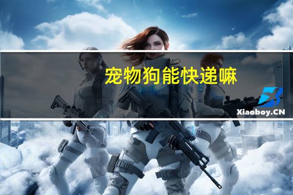 宠物狗能快递嘛