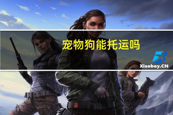 宠物狗能托运吗