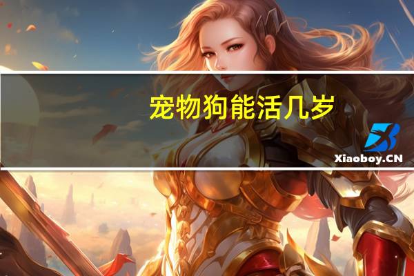 宠物狗能活几岁