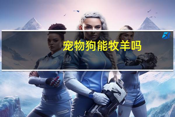 宠物狗能牧羊吗