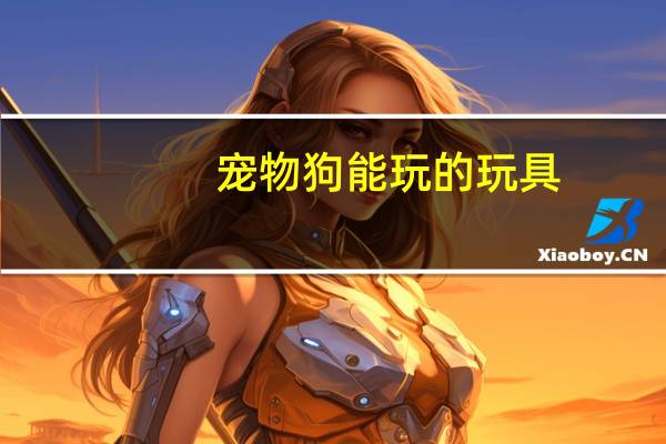 宠物狗能玩的玩具