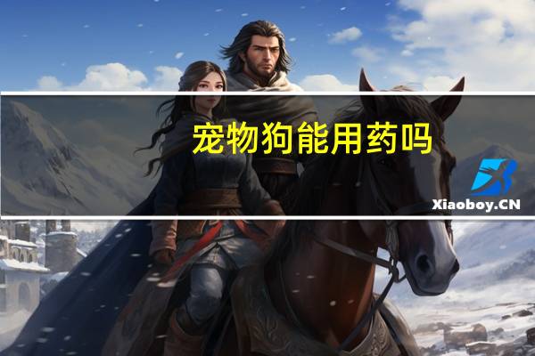 宠物狗能用药吗