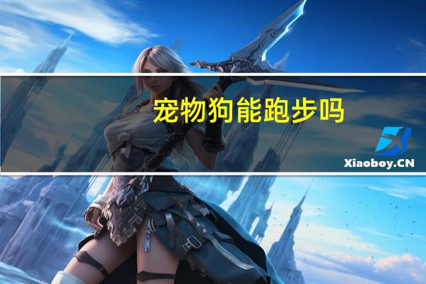 宠物狗能跑步吗