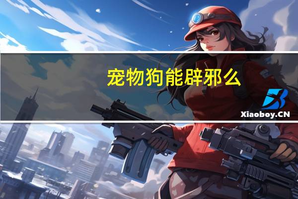 宠物狗能辟邪么