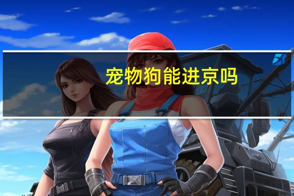 宠物狗能进京吗