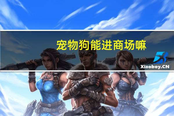 宠物狗能进商场嘛