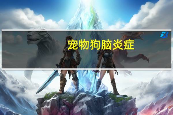 宠物狗脑炎症