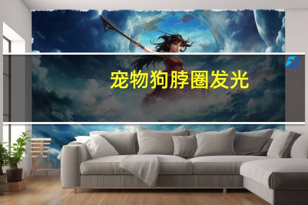 宠物狗脖圈发光