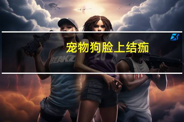 宠物狗脸上结痂