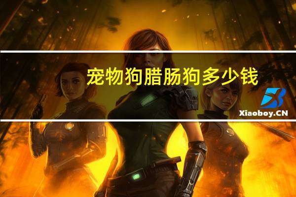 宠物狗腊肠狗多少钱