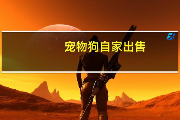 宠物狗自家出售