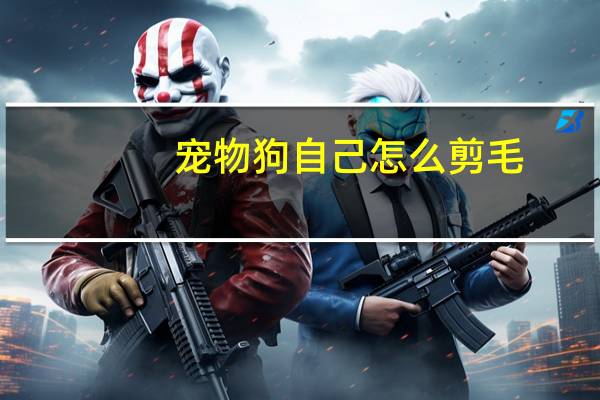 宠物狗自己怎么剪毛