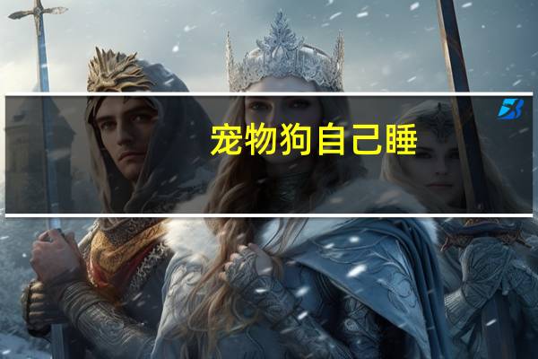 宠物狗自己睡
