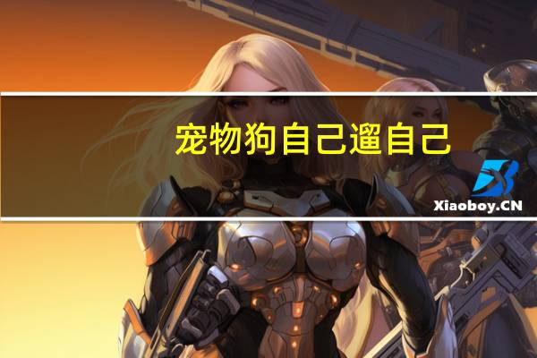 宠物狗自己遛自己