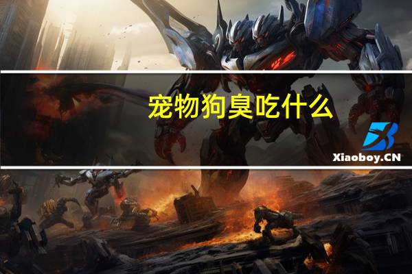 宠物狗臭吃什么