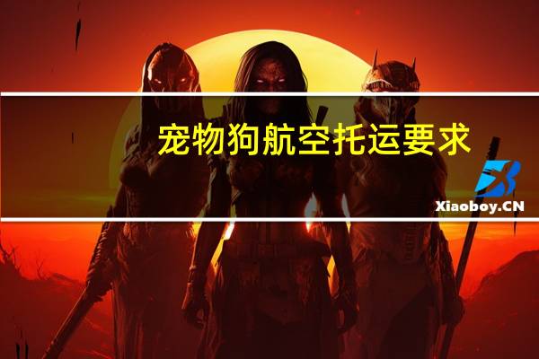 宠物狗航空托运要求