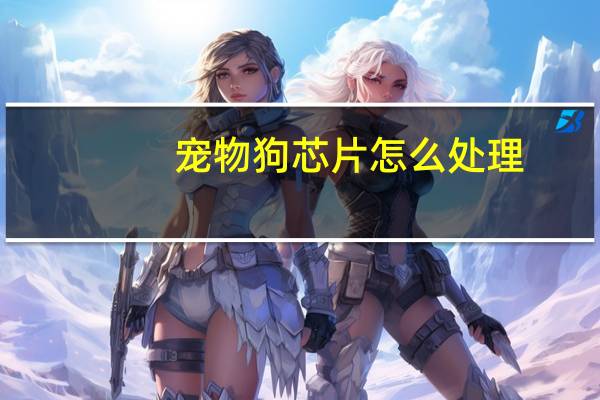 宠物狗芯片怎么处理