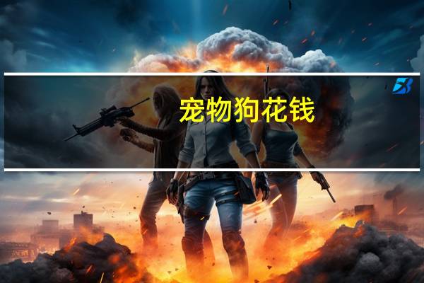 宠物狗花钱