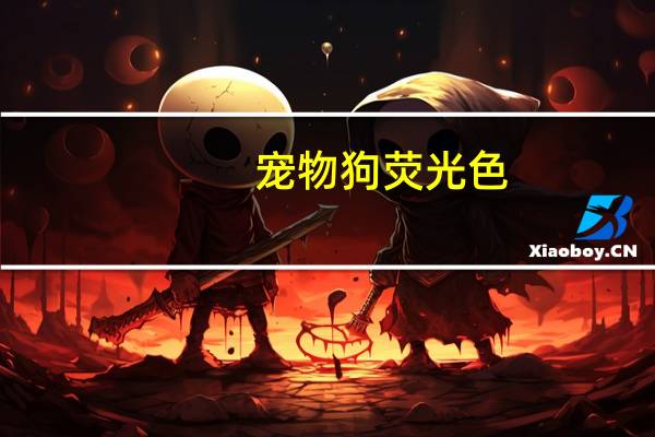 宠物狗荧光色