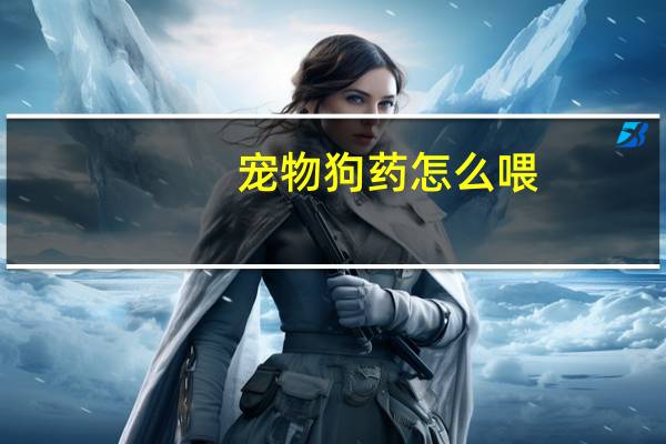 宠物狗药怎么喂