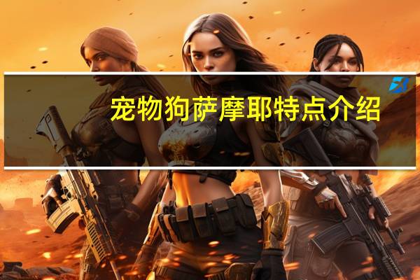 宠物狗萨摩耶特点介绍