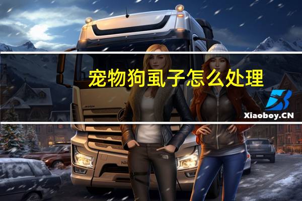 宠物狗虱子怎么处理