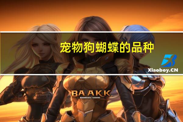 宠物狗蝴蝶的品种