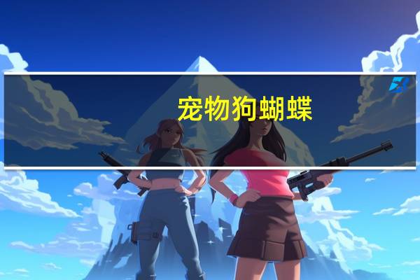 宠物狗蝴蝶