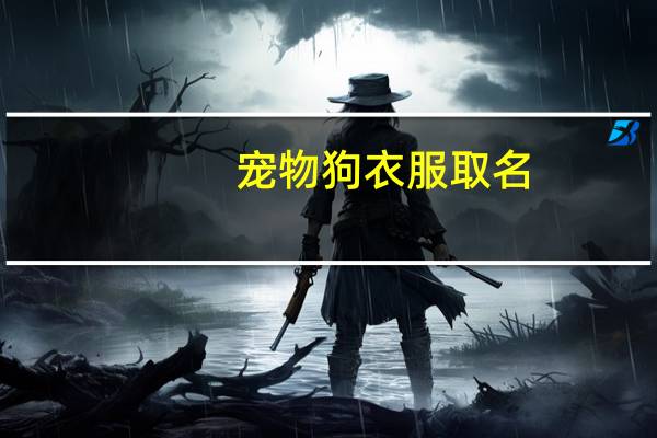 宠物狗衣服取名