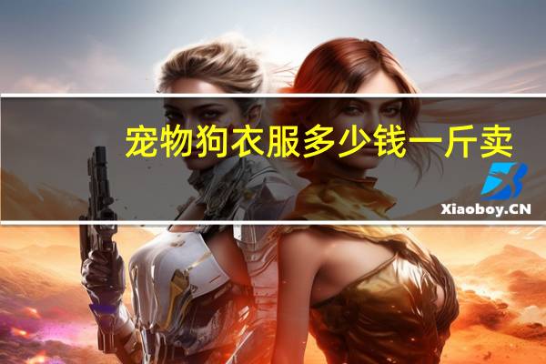 宠物狗衣服多少钱一斤卖