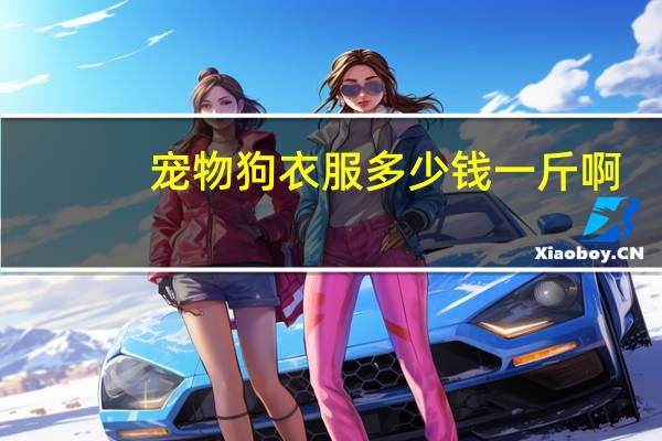 宠物狗衣服多少钱一斤啊