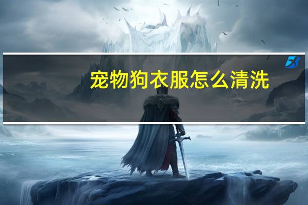 宠物狗衣服怎么清洗