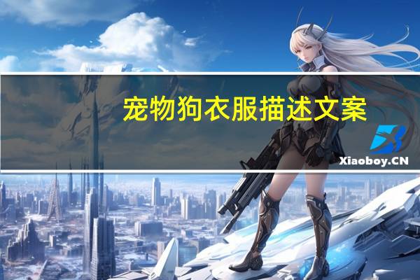 宠物狗衣服描述文案