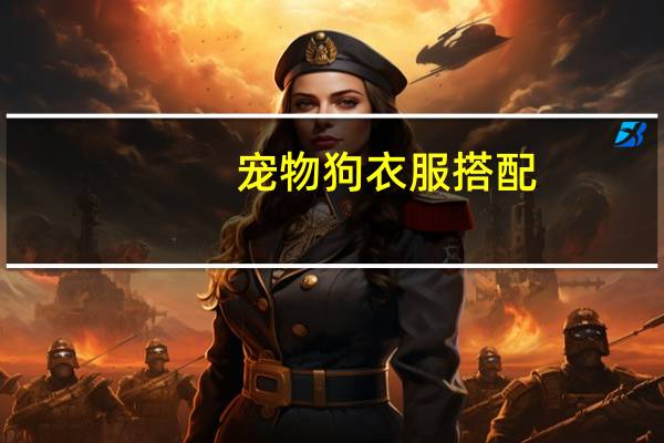 宠物狗衣服搭配