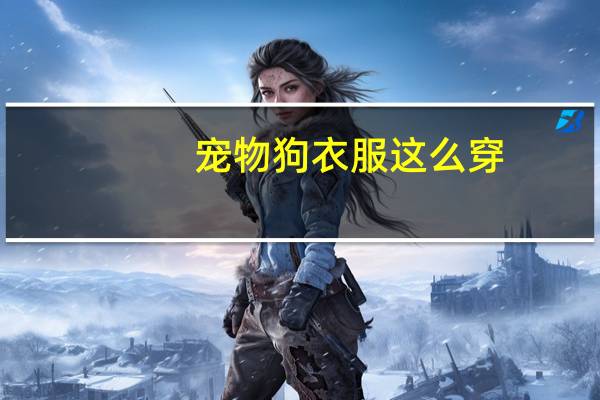 宠物狗衣服这么穿