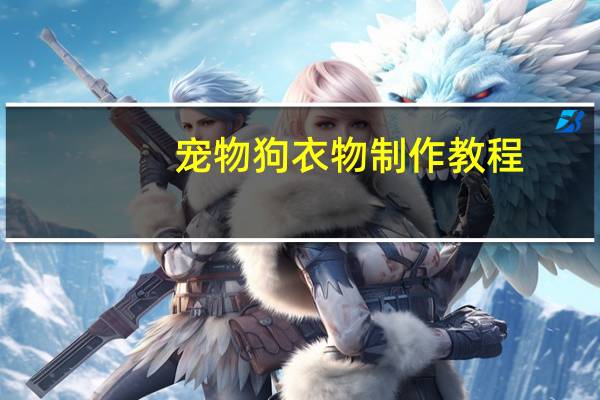 宠物狗衣物制作教程