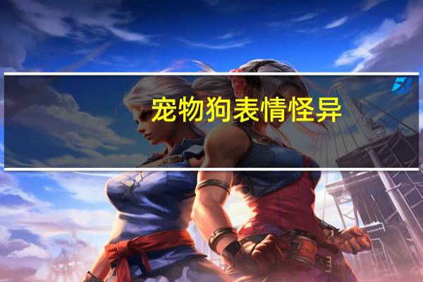 宠物狗表情怪异