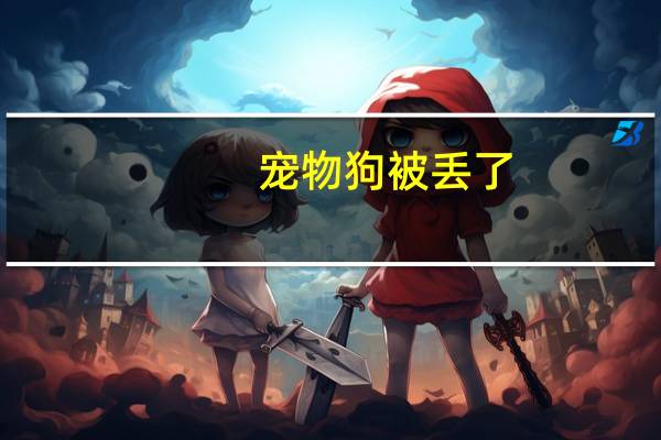 宠物狗被丢了