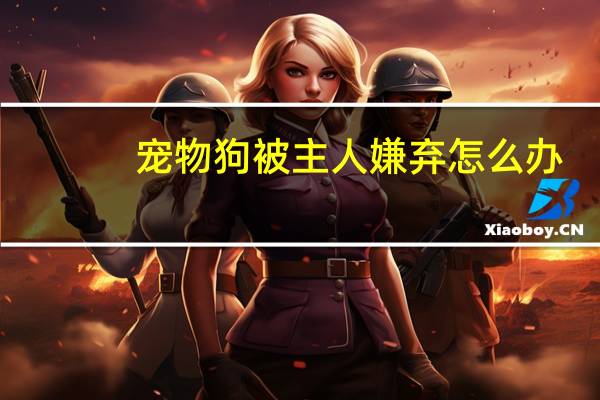 宠物狗被主人嫌弃怎么办