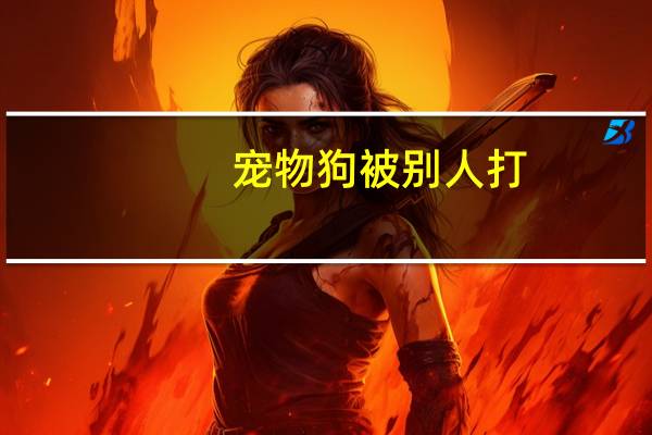 宠物狗被别人打