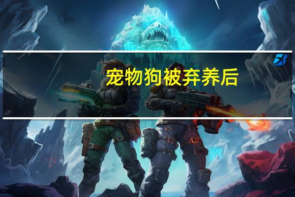 宠物狗被弃养后