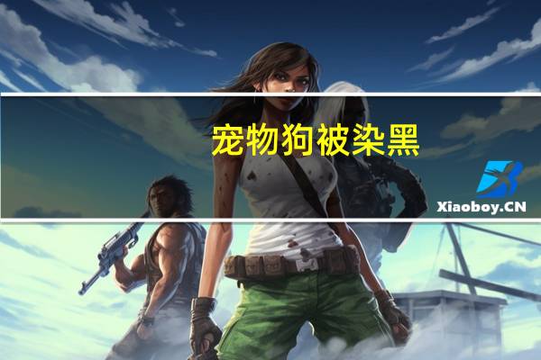 宠物狗被染黑