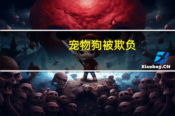 宠物狗被欺负