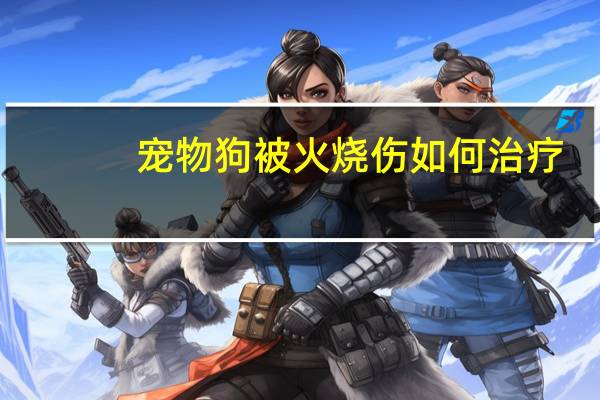 宠物狗被火烧伤如何治疗