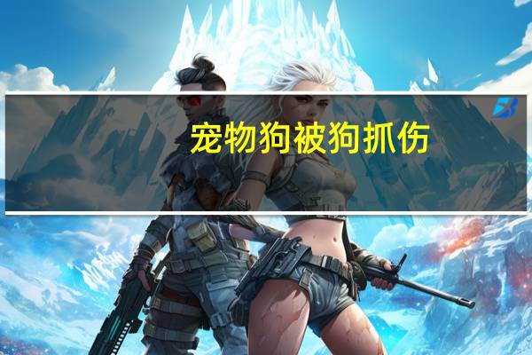 宠物狗被狗抓伤