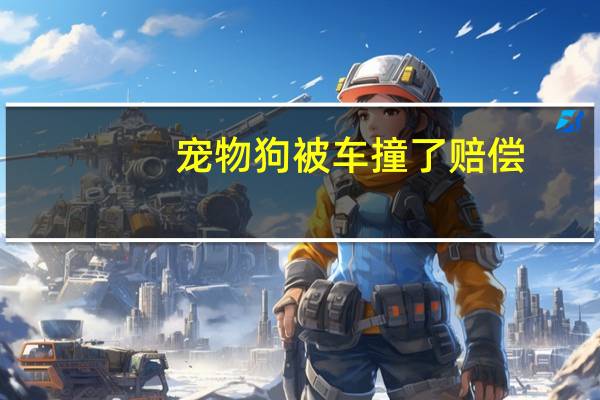 宠物狗被车撞了赔偿