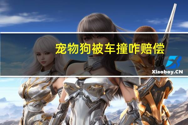 宠物狗被车撞咋赔偿