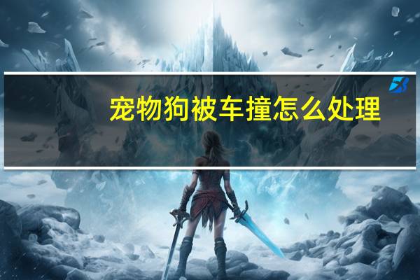 宠物狗被车撞怎么处理