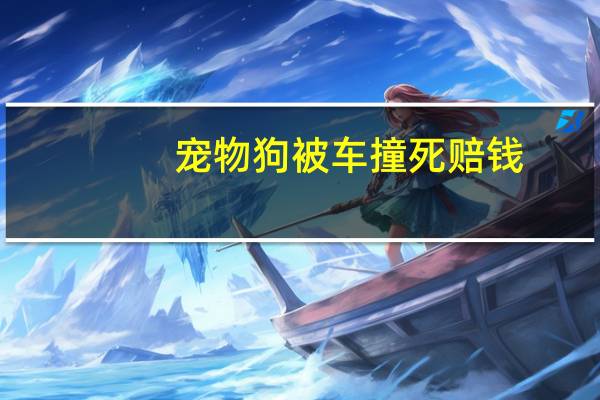 宠物狗被车撞死赔钱
