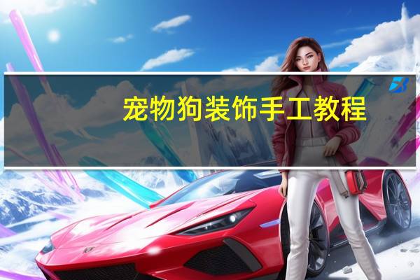 宠物狗装饰手工教程